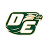 Desoto High School Football logo